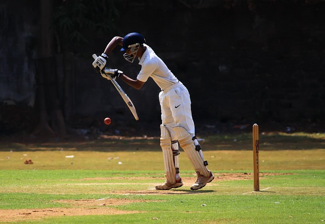 Betting on IPL: Understanding the Dynamics