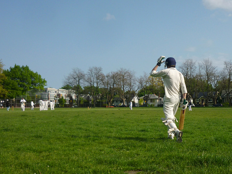 Cricket and Public Health: Fitness Campaigns