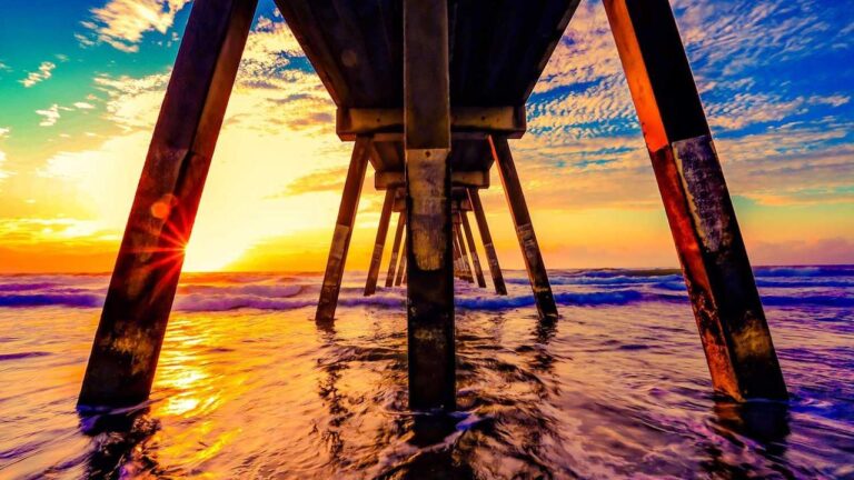 Where Can Users Safely Download Cricbet99?